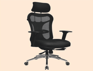 premium office chair in noida